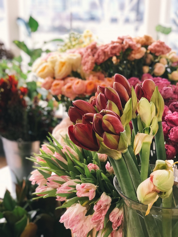 JardínYa! | Blog | ¿Por qué regalamos flores?